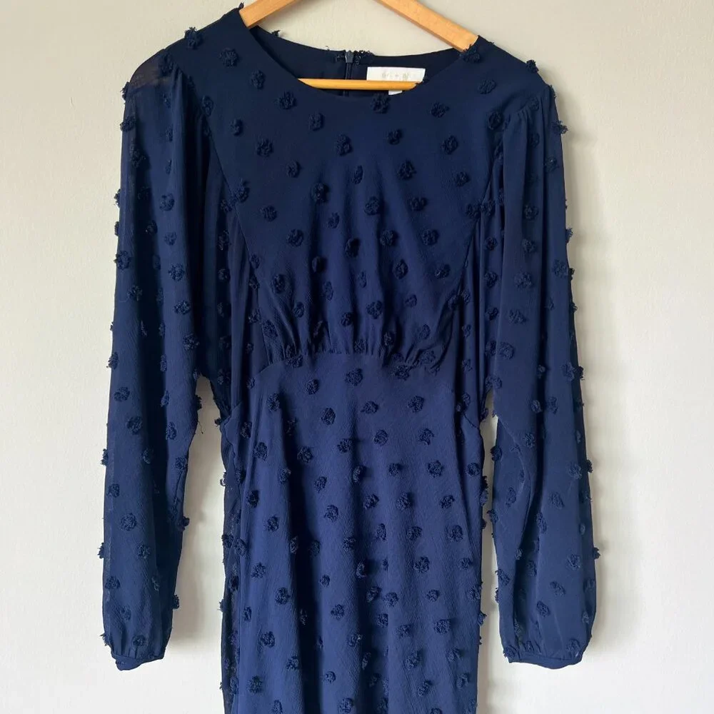 Anthropologie Eri + Ali Michaela Textured Dot Dress Size 8 - Picture 4 of 13